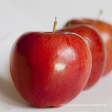 Fresh Red Delicious apple fruit Huaniu apple